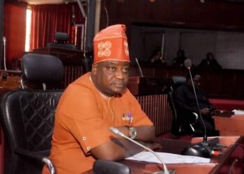 Oyo majority leader urges ban on usage of Styrofoams for food service