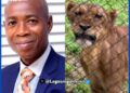 BREAKING: Tears as Lion kills OAU Veterinary Staff, Olabode Olawuyi