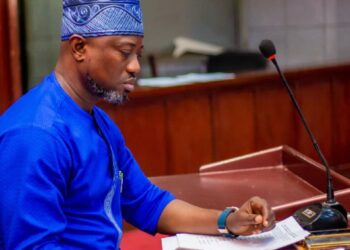 Hon. Babajide Gabriel Moves Motion for Urgent Renovation and Transformation of Cultural Centre, Mokola, into Modern 3D Cinema