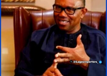 Ukraine’s food donation to Nigeria is national disgrace – Peter Obi