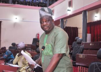 Beef up security surveillance at forest reserves— Sanjo Adedoyin appeals to Makinde  …Calls for recruitment of Forest Guards, Foresters and Forest Rangers