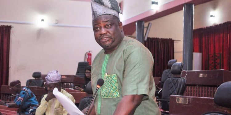 Beef up security surveillance at forest reserves— Sanjo Adedoyin appeals to Makinde  …Calls for recruitment of Forest Guards, Foresters and Forest Rangers