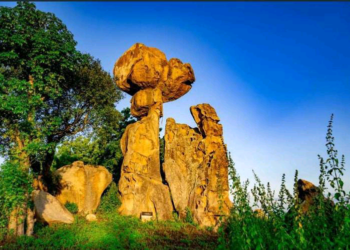 Oyo Tourism Summit: Govt unveils plans to partner with investors