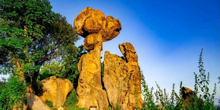 Oyo Tourism Summit: Govt unveils plans to partner with investors