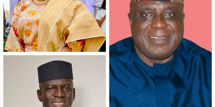 LG ELECTION: Your victory a reflection of PDP acceptability in Irepo LG— Yeye Adenike congratulates TT, Vice Chair-elect, Councillors