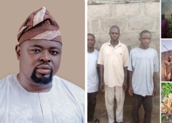 Ex-Oyo Commissioner empowers farmers with N5m for yam seedlings