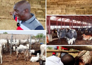 Farmer-Herder Conflict: Oyo Takes Lead In Providing The Solution(Photos) |By Daramola Fisayo