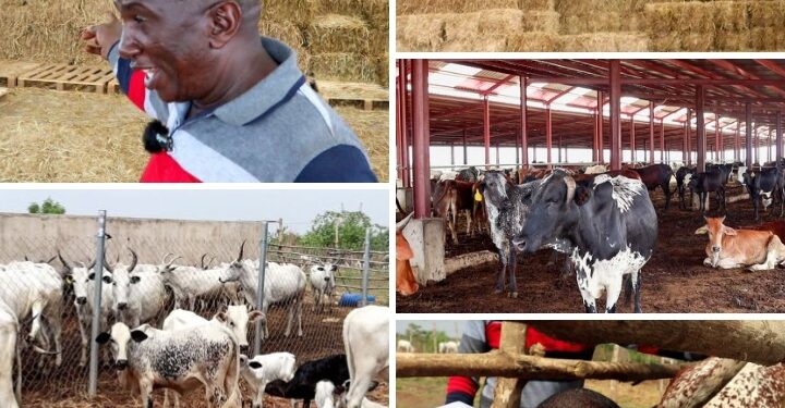 Farmer-Herder Conflict: Oyo Takes Lead In Providing The Solution(Photos) |By Daramola Fisayo
