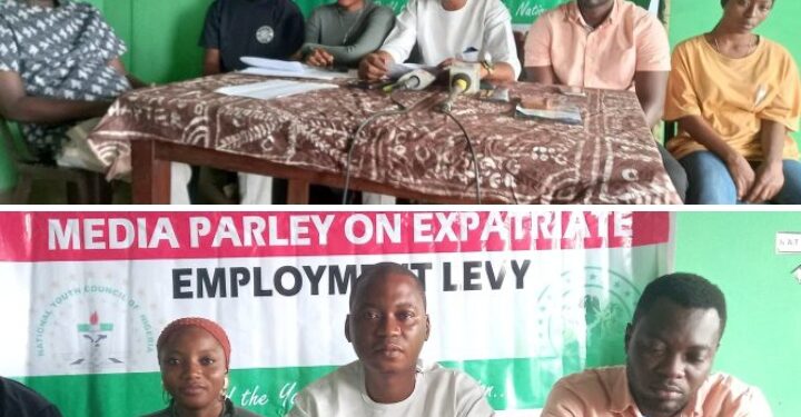 Apex Youth Body Urges FG to Lift Suspension of Expatriate Employment Levy