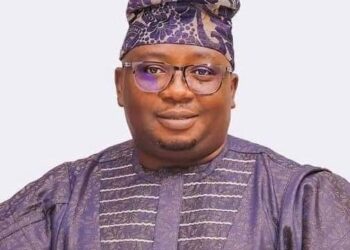 AI can solve Nigeria’s electricity problems, female engineers tell Adelabu