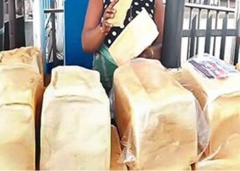 Two Employees of Foodco Arraigned for Stealing two Loaves of Bread in Ibadan
