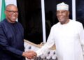 2027: I Will Consider PDP-LP Merger Not Just For Election But For A Better Nigeria  – Obi