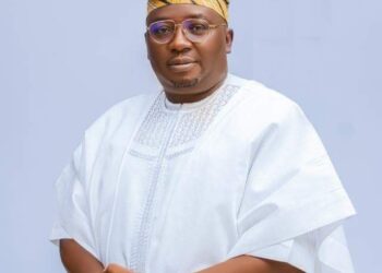 APC Chieftains Slam Adelabu’s Handling Of Electricity