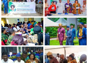 Oyo Lawmaker Comforter Joins Other Dignitaries At Southwest Zonal Stakeholders Consultative Workshop