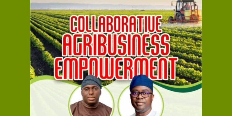 Oyo Lawmaker Olorunpoto, Launches Collaborative Agribusiness Empowerment Initiative for Youths in His  Constituency [CHECK HOW TO APPLY]