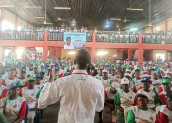 Agboworin: The Man And His Constituents