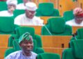 Agboworin: The Reflection Of Primal Leadership |By Isiaka Kehinde