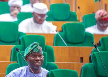 Agboworin: The Reflection Of Primal Leadership |By Isiaka Kehinde