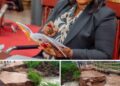 Drainage: Bisi Oluranti seeks quick construction of Akowonjo bridge