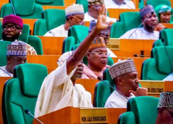 VIDEOS: Recruiting More Personnel In Security Agencies Will Curb Insecurity – Agboworin