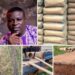 Photos News: Barr. Oluwasina Launches Community Drainage Project in Gratitude Ahead of Inauguration as Ido Vice Chairman