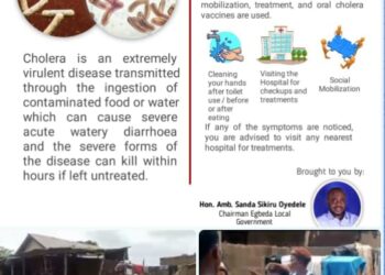 Cholera: Egbeda Local Government Takes Proactive Steps Against Cholera Outbreak