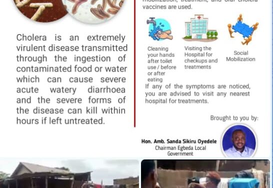 Cholera: Egbeda Local Government Takes Proactive Steps Against Cholera Outbreak
