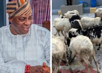 Eid-El-Kabir: Mogaji Akin Fagbemi doles out rams, rice to Muslim faithful, PDP leaders Across Oyo