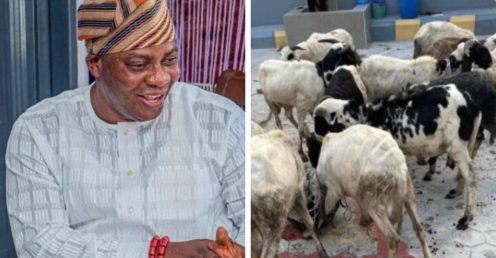 Eid-El-Kabir: Mogaji Akin Fagbemi doles out rams, rice to Muslim faithful, PDP leaders Across Oyo
