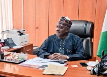 Alleged N33bn Fraud: Court Grants Buhari’s Power Minister N10bn Bail