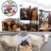 OTOPE Fulfills Promises, Supports Maruwa Riders with Fuel Palliative,  Gifted Cows to OYO NANS and Arode Concept