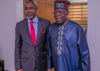Those Lagosians You Brought To Abuja To Fix Nigeria Are Useless; Dismantle Them – APC Chieftain Tackles Tinubu