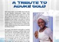 A Tribute to Aduke Gold: A True Ambassador of Ufitfly