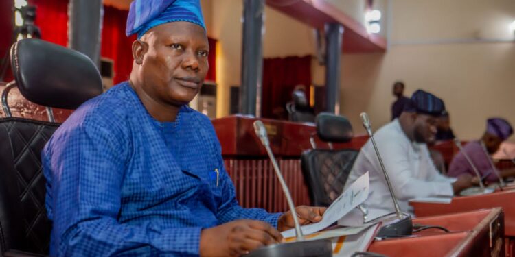 Oyo Lawmaker D-Al-Ameen: A Shining Example of Effective Representation and Leadership*