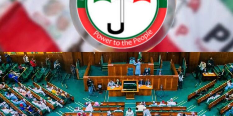 Unraveling the Speculations: Who is the PDP Anointed Candidate for the Ibadan North Federal House of Representatives Bye-Election? || By Adeyemi Oluwaseun*