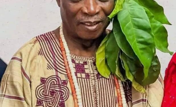 OLUBADAN: At Last Ladoja Receives Ceremonial Beaded Crown Today