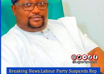 Breaking News:Labour Party Suspends Rep Member Seyi Sowunmi Over Alleged Insubordination