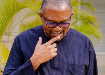 Edo Guber: Damage You Caused Will Haunt Your Children – Peter Obi Tells INEC