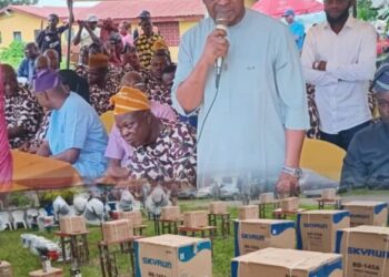 Ido Local Government Chairman Marks 100 Days in Office with Entrepreneurial Empowerment Program