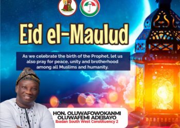 Maulud: Seek divine intervention, Oyo Lawmaker Fowokanmi urges Muslims*