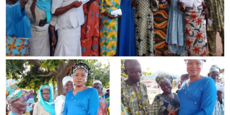 Ibarapa East Legislative Leader, Hon. Oyenike, Disburses N20,000 Business Grants to Constituents