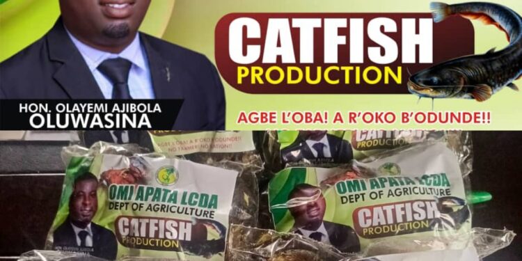 PHOTOS: Hon. Barr. Olayemi Oluwasina Launches Catfish Production Project to Boost Local Economy