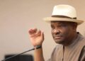 Wike’s Nigeria feeds citizens’ bodies to pigs  Festus Adedayo