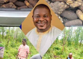 Ido Local Government Commences First Phase of Yam Harvest under the Leadership of Hon. Sheriff Aderemi Adeojo**