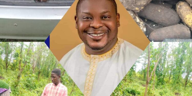 Ido Local Government Commences First Phase of Yam Harvest under the Leadership of Hon. Sheriff Aderemi Adeojo**