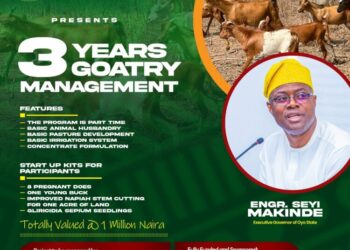 Oloye Babatunde Ologburo’s GSM Initiative: Distributing Livestock Startup Kits to Youths across 33LGA