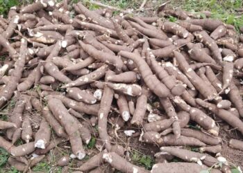 2027: Avoid Pitfalls Of 2018–Akeem Olatunji Warns As Oluyole PDP Leaders Bar Political Grouping for Governorship Aspirants