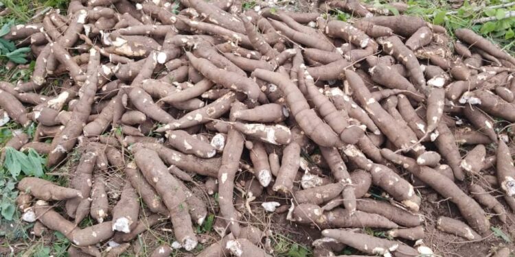 2027: Avoid Pitfalls Of 2018–Akeem Olatunji Warns As Oluyole PDP Leaders Bar Political Grouping for Governorship Aspirants