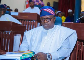 Ibadan Junction Improvement: Enhancing Beauty and Orderliness|Deji Ola