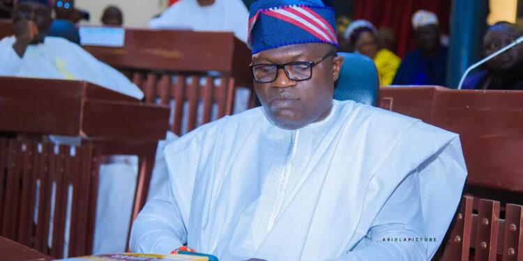 Ibadan Junction Improvement: Enhancing Beauty and Orderliness|Deji Ola